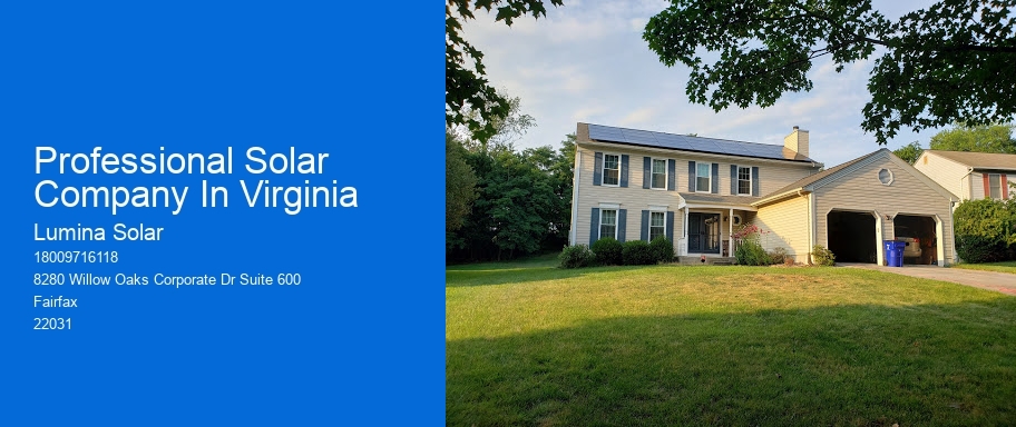 Professional Solar Company In Virginia